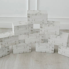 The Starter White Brick Block Set